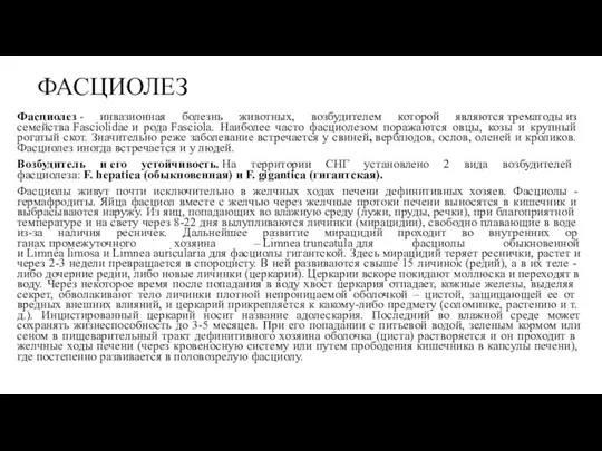 ФАСЦИОЛЕЗ Фасциолез - инвазионная болезнь животных, возбудителем которой являются трематоды