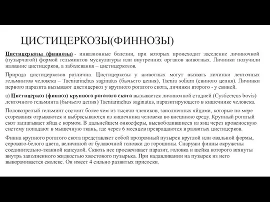 ЦИСТИЦЕРКОЗЫ(ФИННОЗЫ) Цистицеркозы (финнозы) - инвазионные болезни, при которых происходит заселение