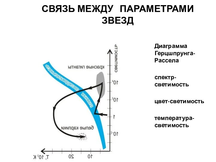 СВЯЗЬ МЕЖДУ ПАРАМЕТРАМИ ЗВЕЗД Диаграмма Герцшпрунга-Рассела спектр-светимость цвет-светимость температура-светимость