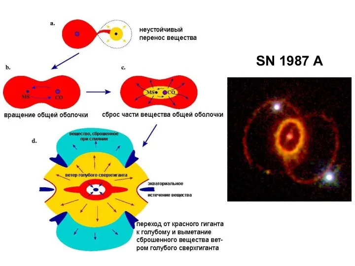 SN 1987 A