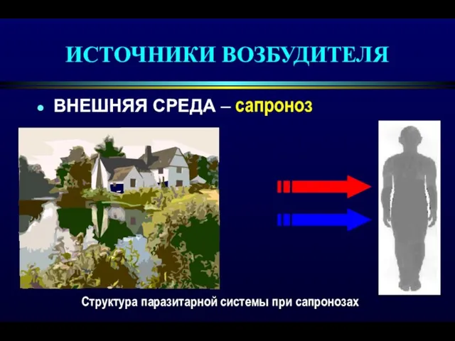 ИСТОЧНИКИ ВОЗБУДИТЕЛЯ ВНЕШНЯЯ СРЕДА – сапроноз Структура паразитарной системы при сапронозах