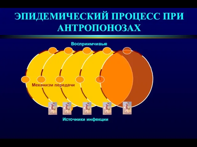 ЭПИДЕМИЧЕСКИЙ ПРОЦЕСС ПРИ АНТРОПОНОЗАХ Восприимчивые Источники инфекции Механизм передачи