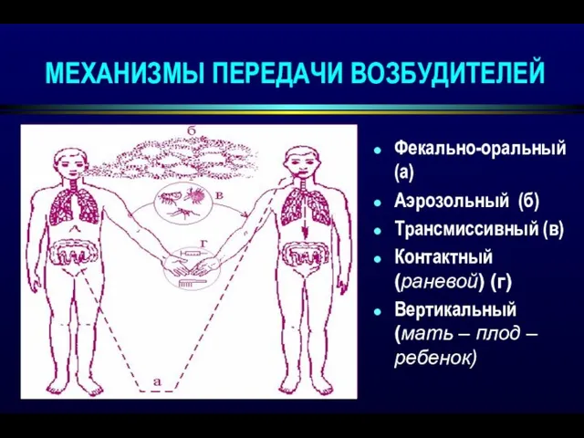 МЕХАНИЗМЫ ПЕРЕДАЧИ ВОЗБУДИТЕЛЕЙ Фекально-оральный (а) Аэрозольный (б) Трансмиссивный (в) Контактный