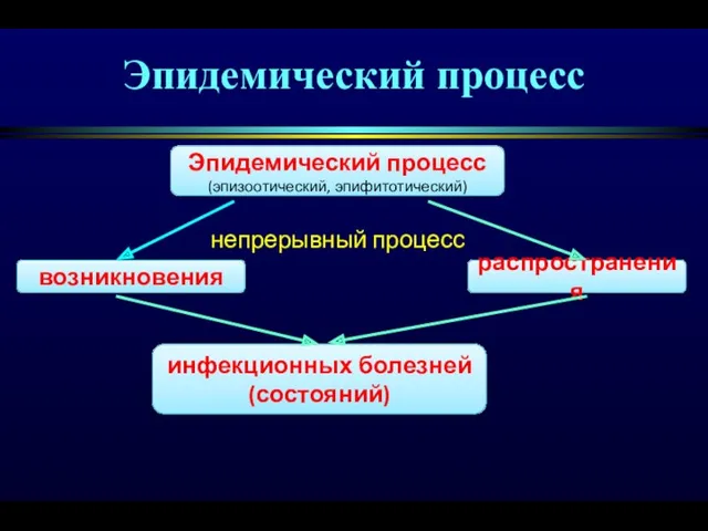 Эпидемический процесс Эпидемический процесс (эпизоотический, эпифитотический) непрерывный процесс возникновения распространения инфекционных болезней (состояний)