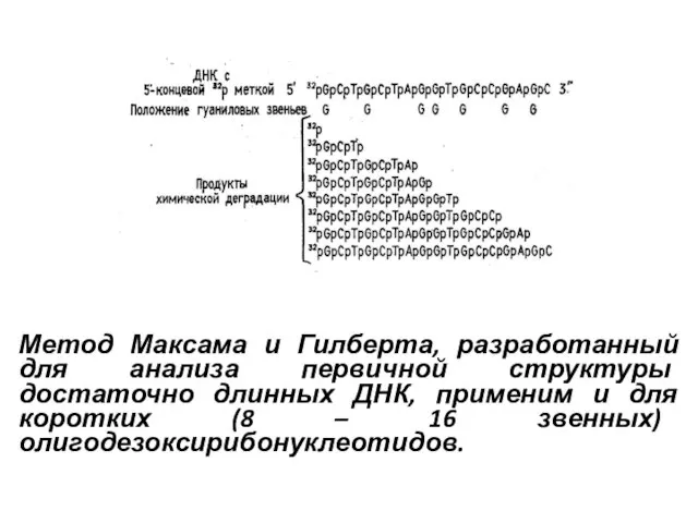 Метод Максама и Гилберта, разработанный для анализа первичной структуры достаточно