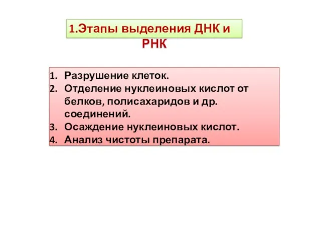 Этапы выделения ДНК и РНК Разрушение клеток. Отделение нуклеиновых кислот