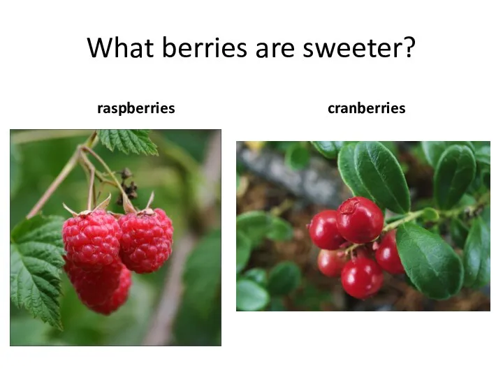 What berries are sweeter? raspberries cranberries