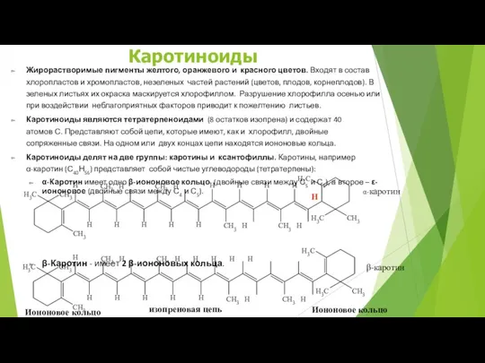 Жирорастворимые пигменты желтого, оранжевого и красного цветов. Входят в состав