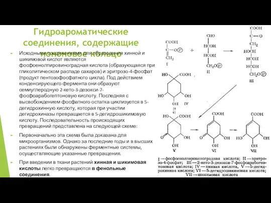 Гидроароматические соединения, содержащие иононовое кольцо Исходными соединениями для образования хинной