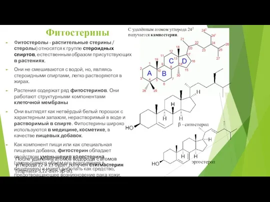 Фитостерины Фитостеролы - растительные стерины / стеролы) относятся к группе