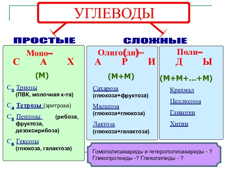 Гомополисахариды и гетерополисахариды - ? Гликопротеиды -? Гликолипиды - ?