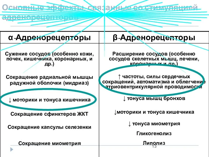 Основные эффекты, связанные со стимуляцией адренорецепторов