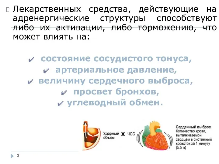 Лекарственных средства, действующие на адренергические структуры способствуют либо их активации,