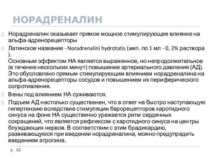 НОРАДРЕНАЛИН Норадреналин оказывает прямое мощное стимулирующее влияние на альфа-адренорецепторы Латинское