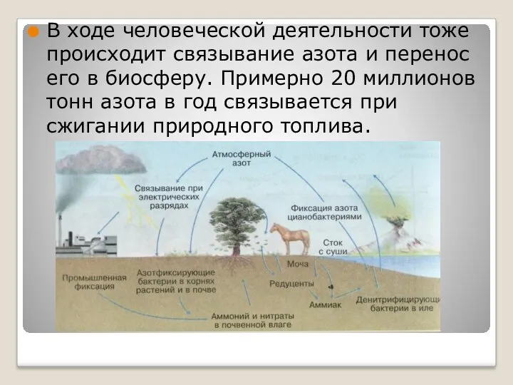 В ходе человеческой деятельности тоже происходит связывание азота и перенос