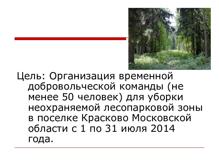 Цель: Организация временной добровольческой команды (не менее 50 человек) для