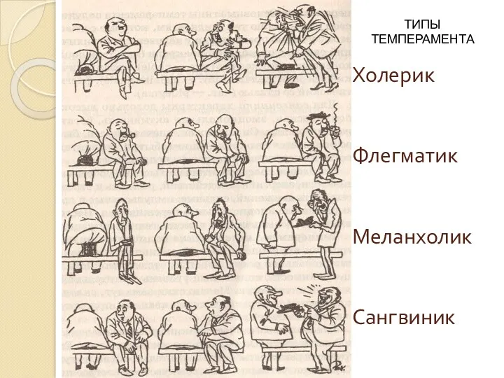 Холерик Флегматик Меланхолик Сангвиник ТИПЫ ТЕМПЕРАМЕНТА