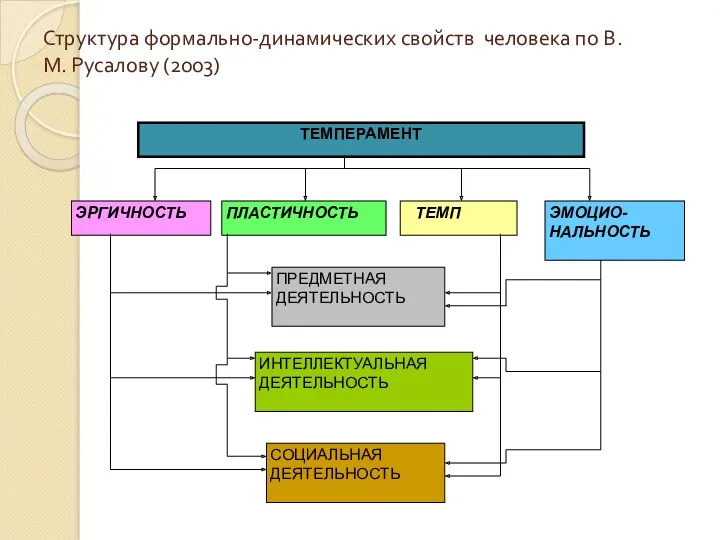 Структура формально-динамических свойств человека по В.М. Русалову (2003)