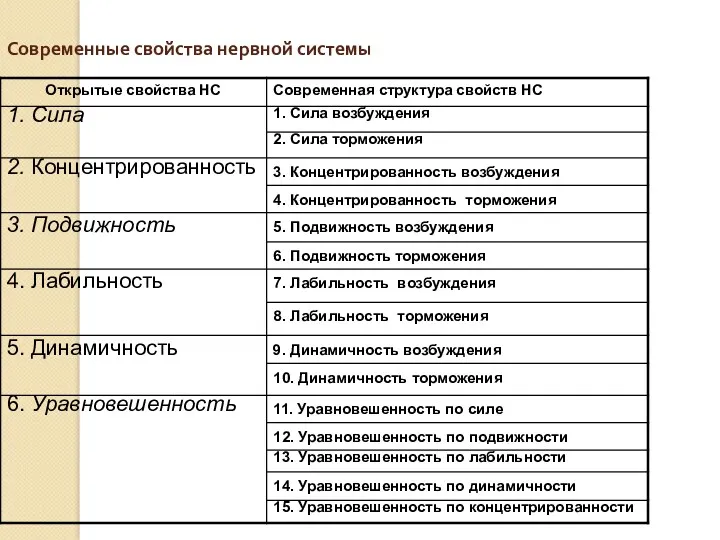 Современные свойства нервной системы