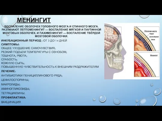 МЕНИНГИТ ВОСПАЛЕНИЕ ОБОЛОЧЕК ГОЛОВНОГО МОЗГА И СПИННОГО МОЗГА. РАЗЛИЧАЮТ ЛЕПТОМЕНИНГИТ