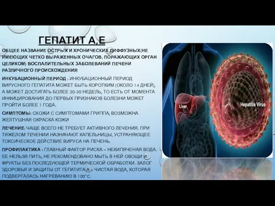 ГЕПАТИТ А,Е ОБЩЕЕ НАЗВАНИЕ ОСТРЫХ И ХРОНИЧЕСКИХ ДИФФУЗНЫХ(НЕ ИМЕЮЩИХ ЧЕТКО