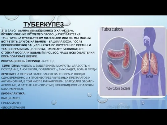 ТУБЕРКУЛЕЗ ЭТО ЗАБОЛЕВАНИЕ ИНФЕКЦИОННОГО ХАРАКТЕРА, ВОЗНИКНОВЕНИЕ КОТОРОГО ПРОВОЦИРУЕТ БАКТЕРИЯ ТУБЕРКУЛЕЗА