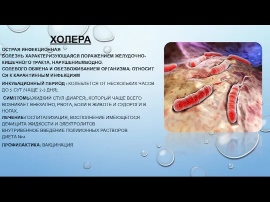 ХОЛЕРА ОСТРАЯ ИНФЕКЦИОННАЯ БОЛЕЗНЬ ХАРАКТЕРИЗУЮЩАЯСЯ ПОРАЖЕНИЕМ ЖЕЛУДОЧНО-КИШЕЧНОГО ТРАКТА, НАРУШЕНИЕМВОДНО-СОЛЕВОГО ОБМЕНА