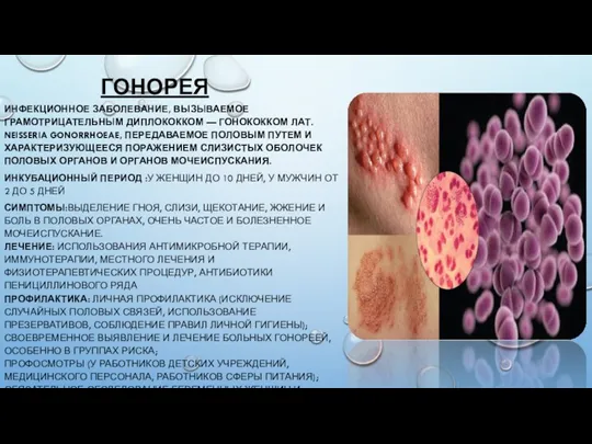 ГОНОРЕЯ ИНФЕКЦИОННОЕ ЗАБОЛЕВАНИЕ, ВЫЗЫВАЕМОЕ ГРАМОТРИЦАТЕЛЬНЫМ ДИПЛОКОККОМ — ГОНОКОККОМ ЛАТ. NEISSERIA