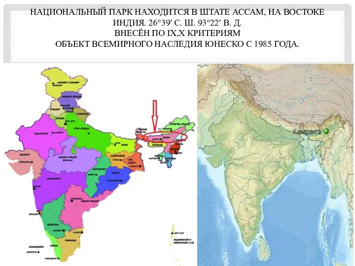 НАЦИОНАЛЬНЫЙ ПАРК НАХОДИТСЯ В ШТАТЕ АССАМ, НА ВОСТОКЕ ИНДИЯ. 26°39′