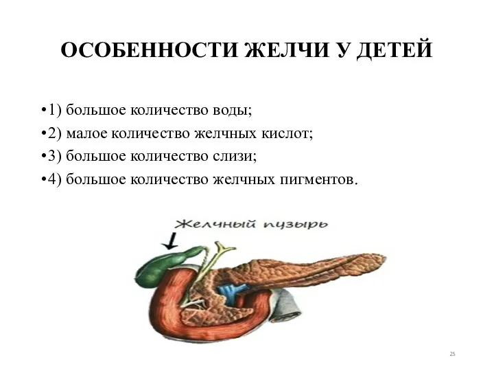 ОСОБЕННОСТИ ЖЕЛЧИ У ДЕТЕЙ 1) большое количество воды; 2) малое