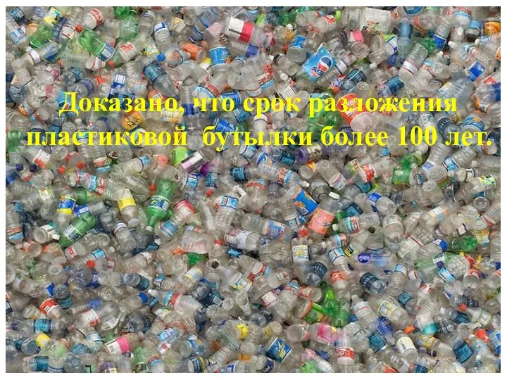Доказано, что срок разложения пластиковой бутылки более 100 лет.