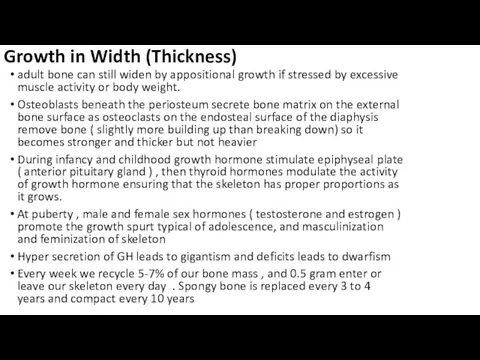 Growth in Width (Thickness) adult bone can still widen by