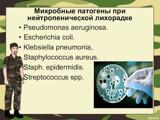 Микробные патогены при нейтропенической лихорадке Pseudomonas aeruginosa. Escherichia coli. Klebsiella