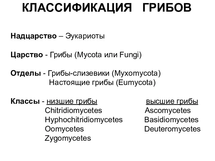 КЛАССИФИКАЦИЯ ГРИБОВ Надцарство – Эукариоты Царство - Грибы (Mycota или Fungi) Отделы -