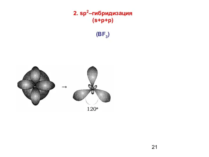 2. sp2–гибридизация (s+p+p) (ВF3)