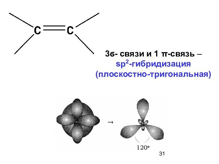 3ϭ- связи и 1 π-связь – sp2-гибридизация (плоскостно-тригональная)