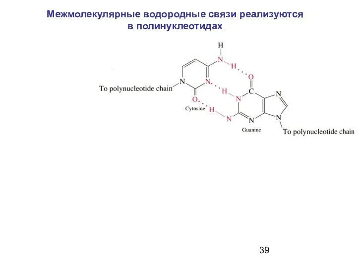 Межмолекулярные водородные связи реализуются в полинуклеотидах