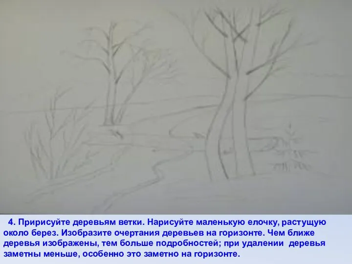 4. Пририсуйте деревьям ветки. Нарисуйте маленькую елочку, растущую около берез.