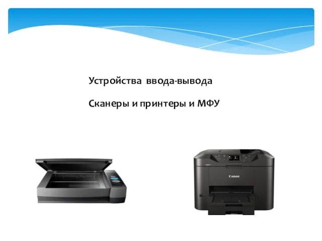 Сканеры и принтеры и МФУ Устройства ввода-вывода