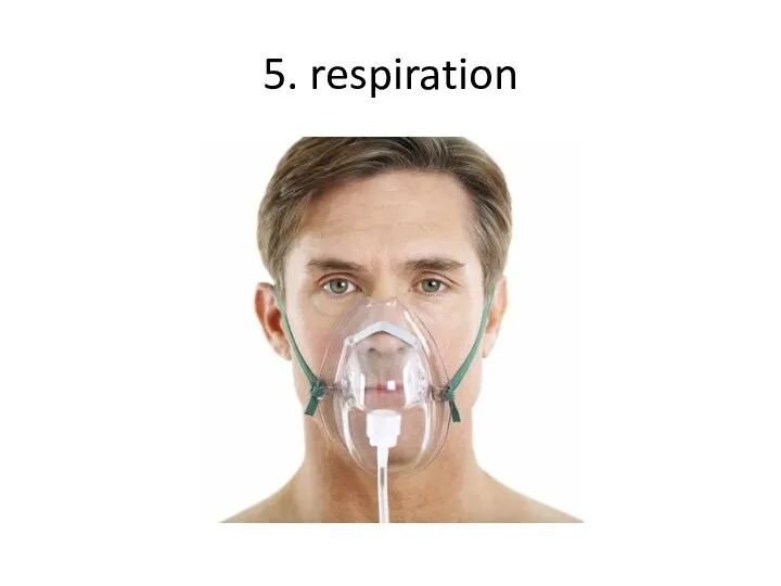 5. respiration