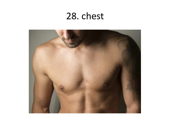 28. chest