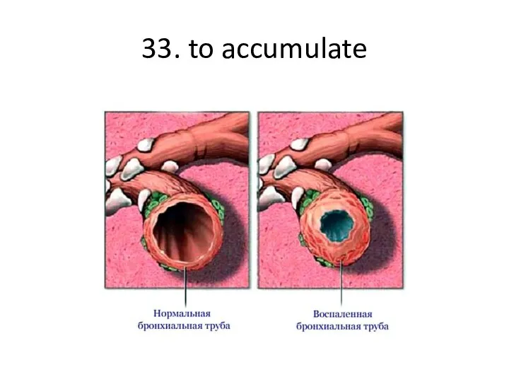 33. to accumulate