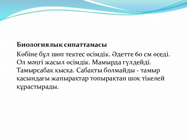 Биологиялық сипаттамасы Көбіне бұл шөп тектес өсiмдiк. Әдетте 60 см