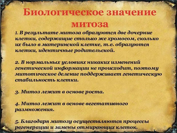 1. В результате митоза образуются две дочерние клетки, содержащие столько же хромосом, сколько