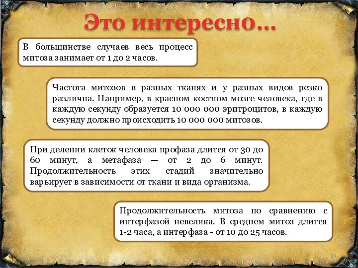 В большинстве случаев весь процесс митоза занимает от 1 до 2 часов. Частота