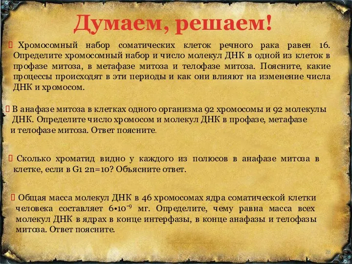 Думаем, решаем! Хромосомный набор соматических клеток речного рака равен 16.