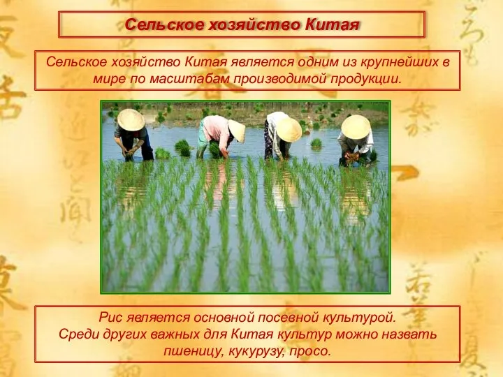 Сельское хозяйство Китая Сельское хозяйство Китая является одним из крупнейших в мире по