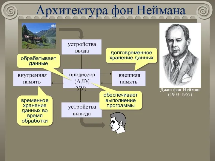 Архитектура фон Неймана обрабатывает данные обеспечивает выполнение программы временное хранение