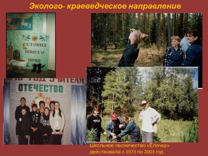 Эколого- краеведческое направление Школьное лесничество «Ёлочка» действовала с 1973 по 2003 год
