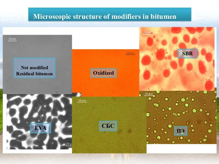 Microscopic structure of modifiers in bitumen Not modified Residual bitumen Oxidized EVA СБС ПЭ SBR